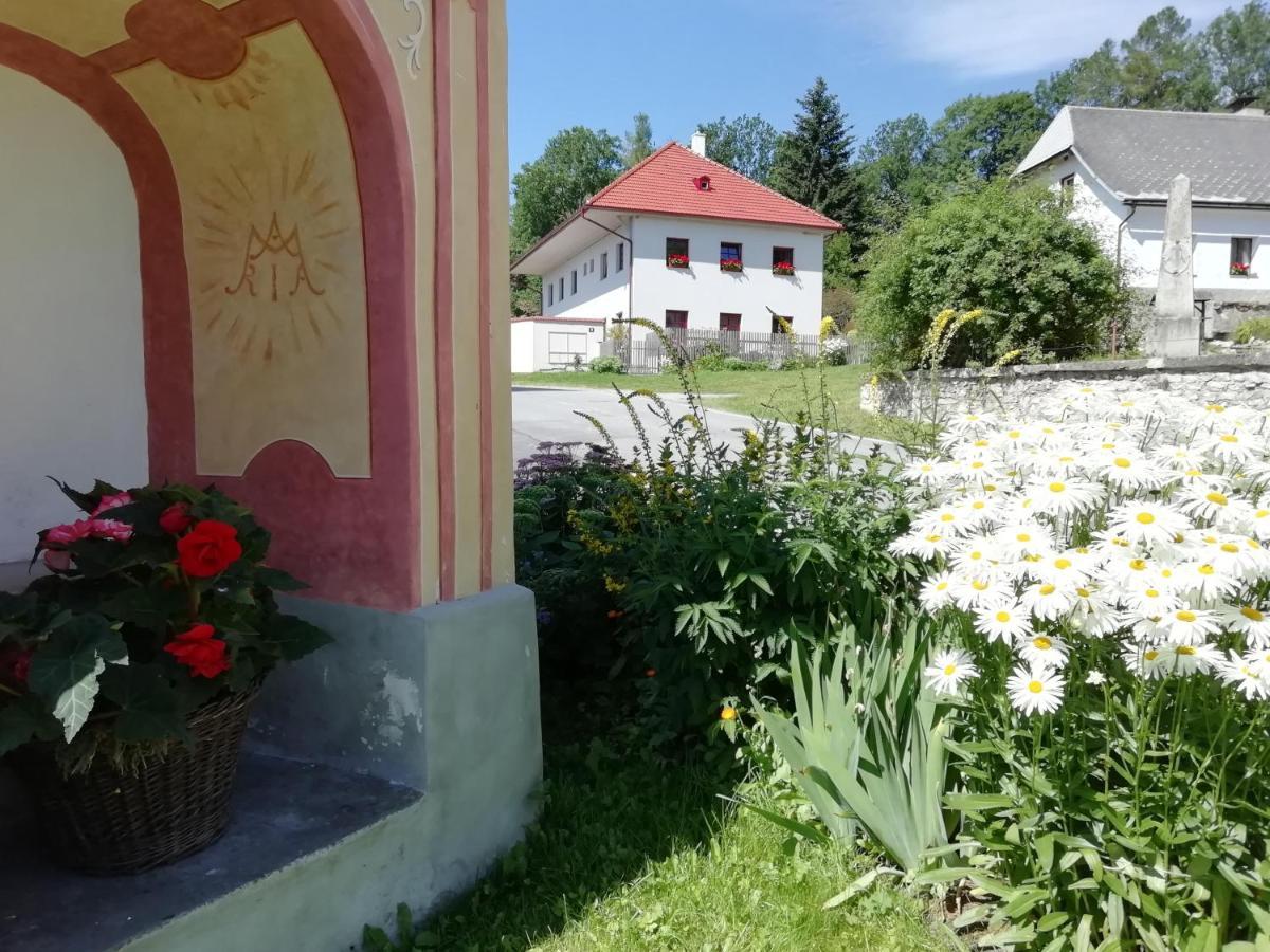 Ubytování Praschlhaus Horní Planá Esterno foto