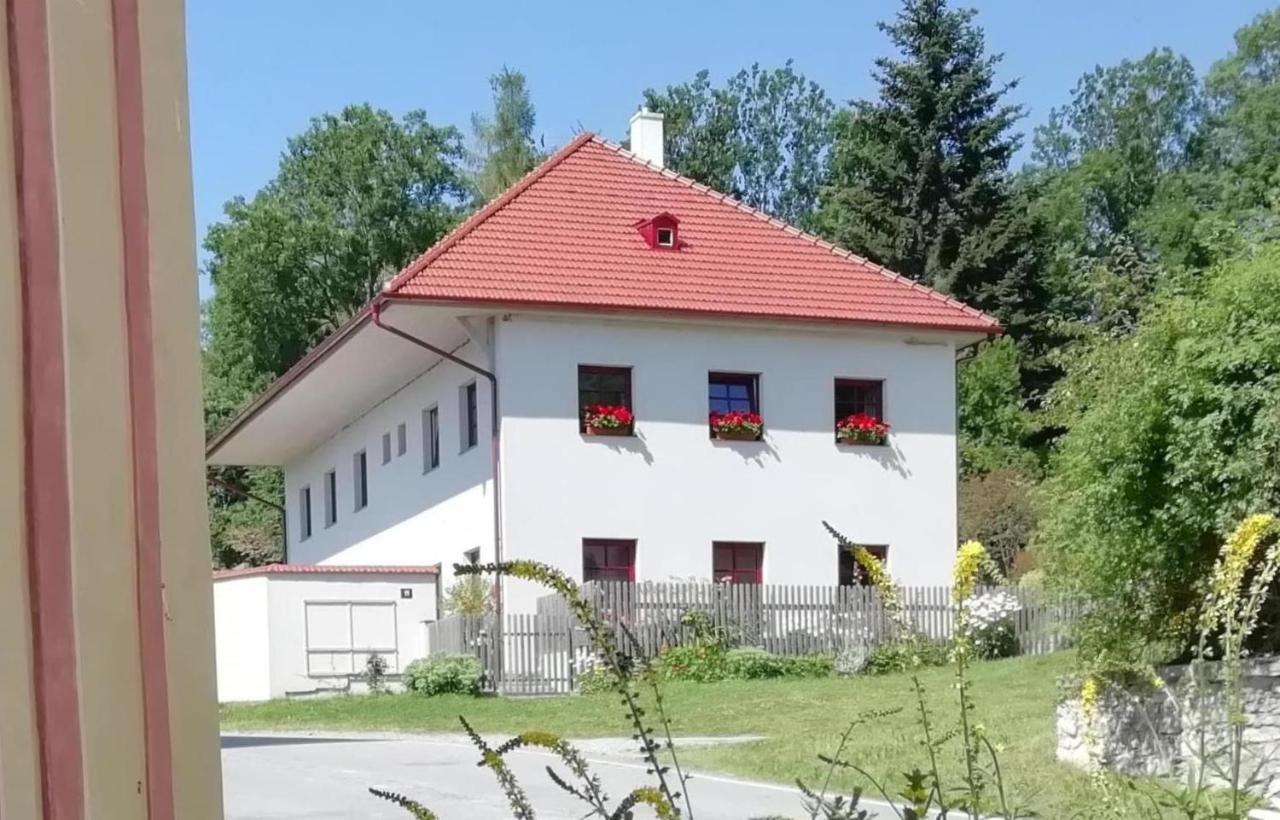 Ubytování Praschlhaus Horní Planá Esterno foto