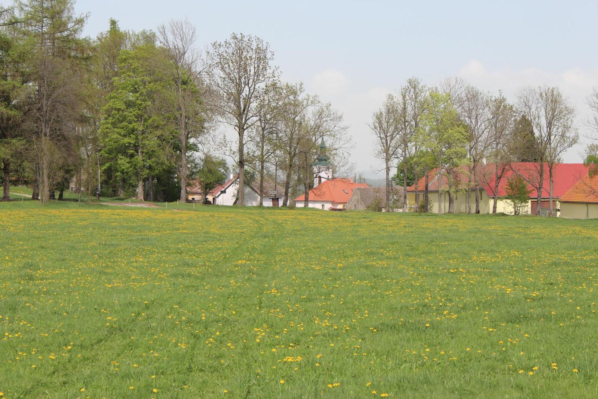 Ubytování Praschlhaus Horní Planá Esterno foto