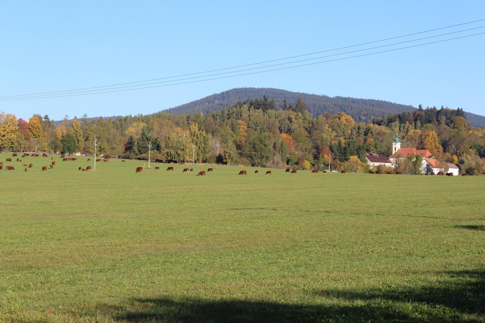 Ubytování Praschlhaus Horní Planá Esterno foto