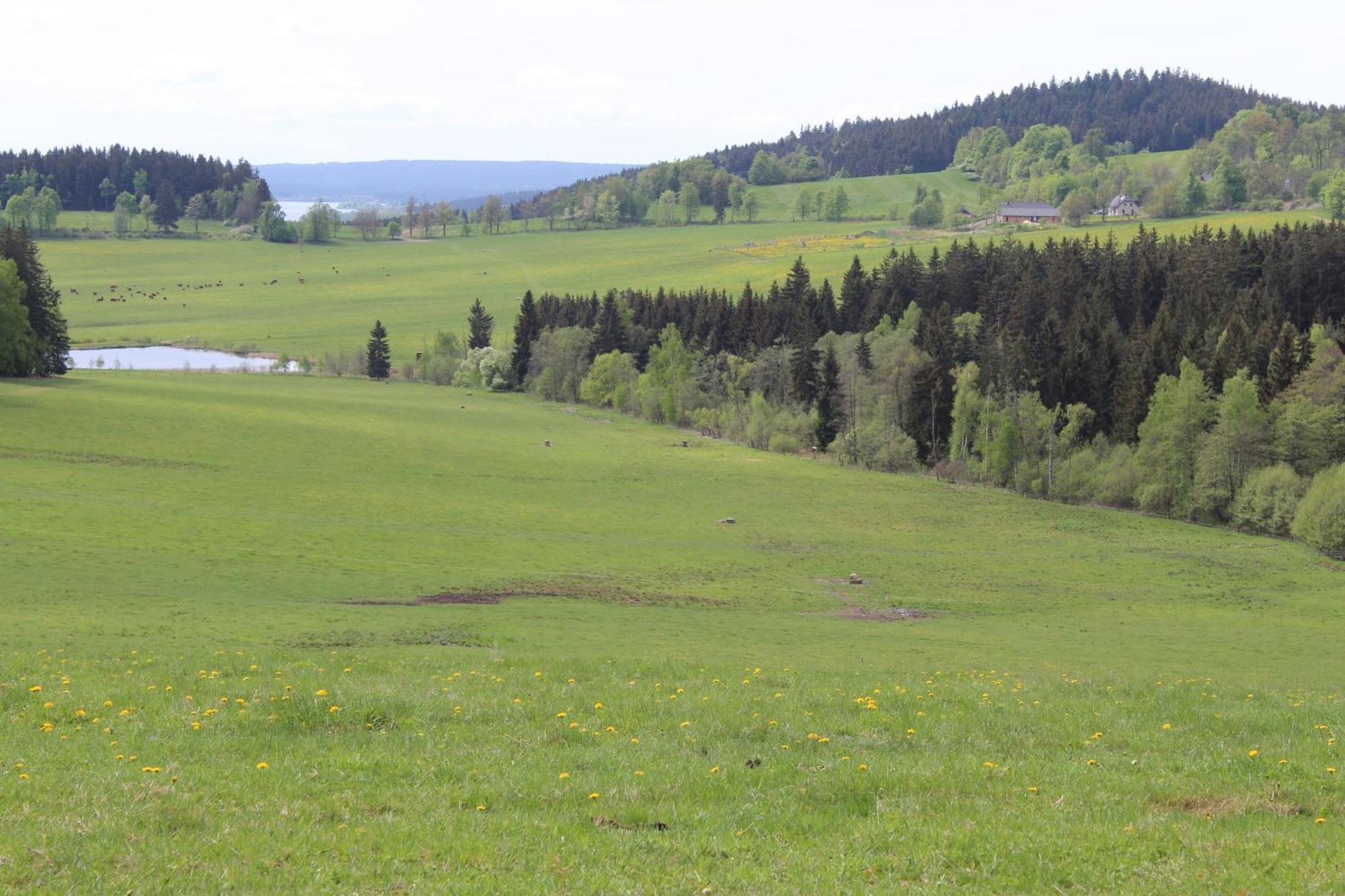 Ubytování Praschlhaus Horní Planá Esterno foto