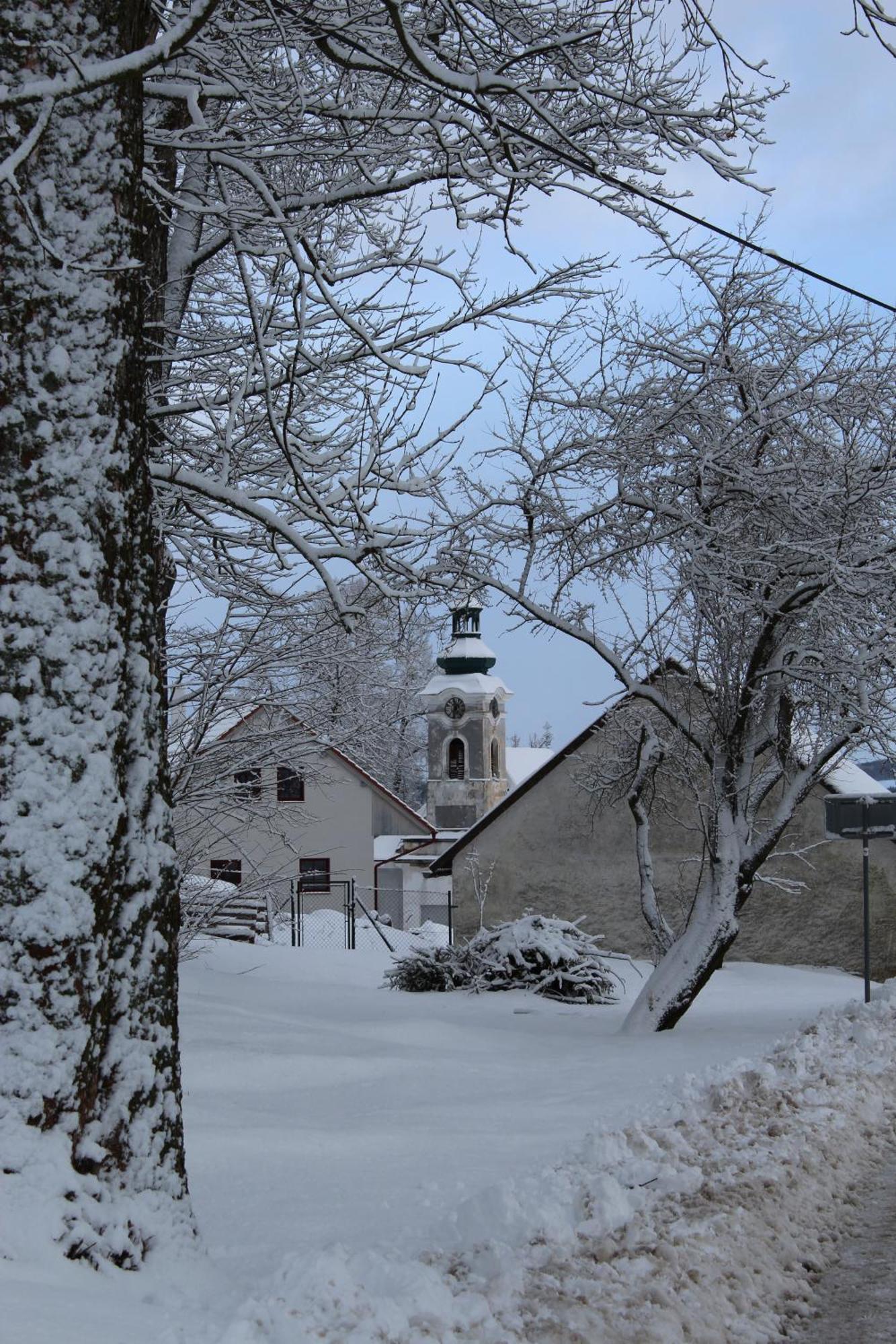 Ubytování Praschlhaus Horní Planá Esterno foto