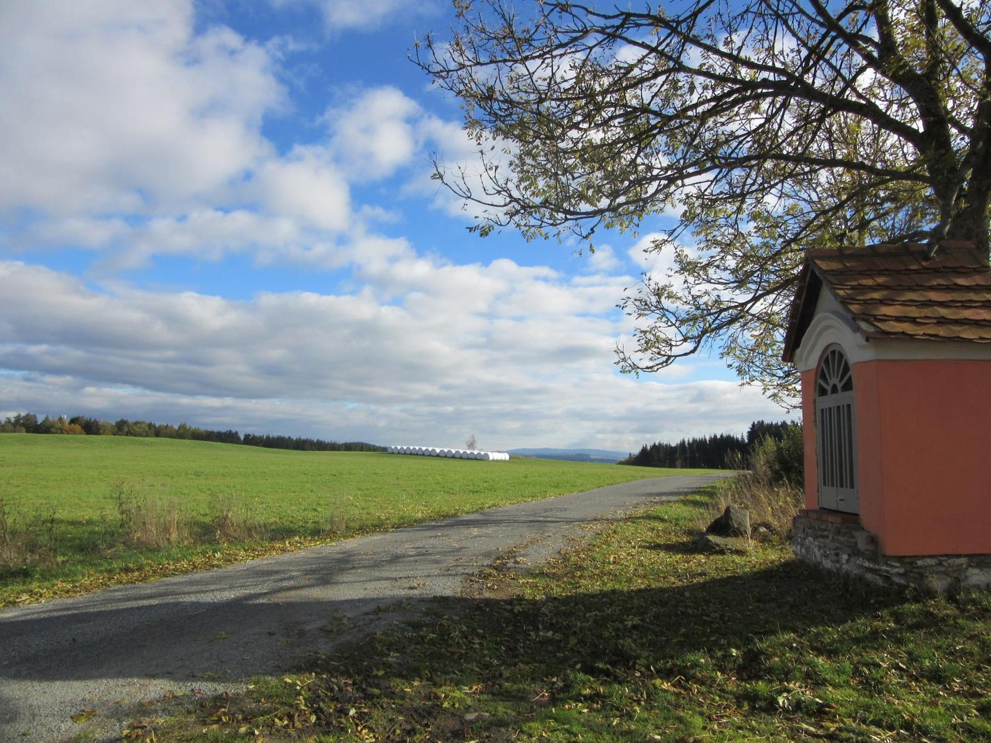 Ubytování Praschlhaus Horní Planá Esterno foto