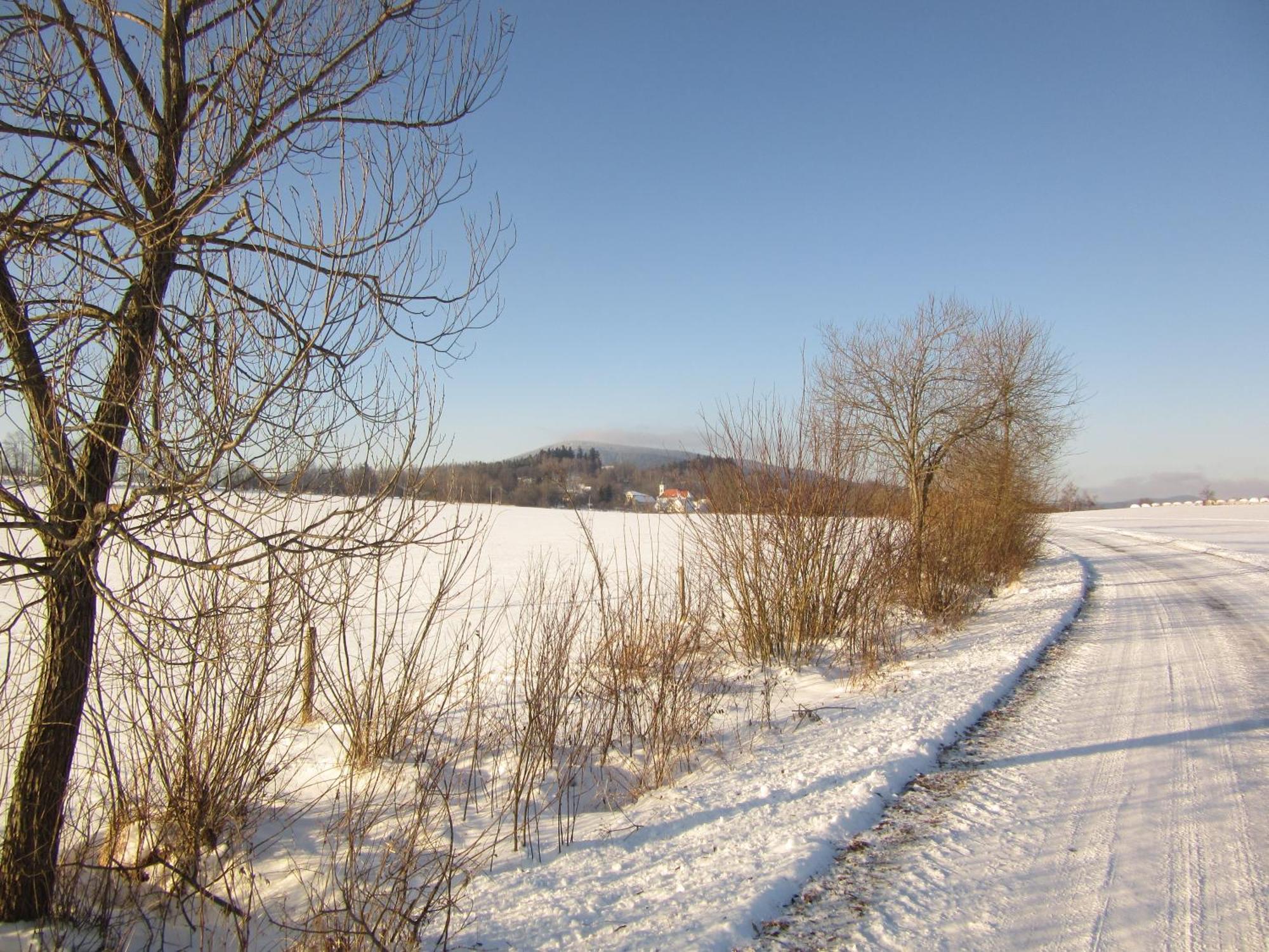 Ubytování Praschlhaus Horní Planá Esterno foto