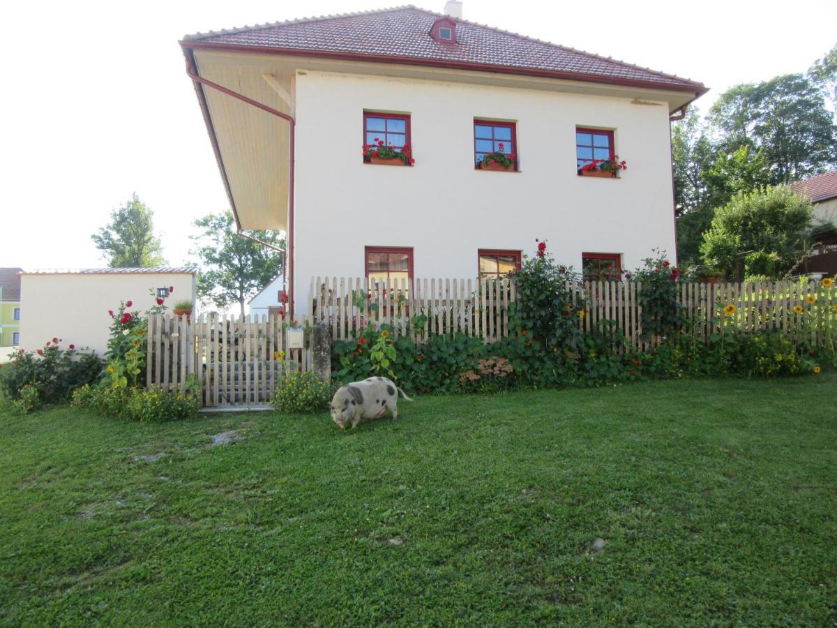 Ubytování Praschlhaus Horní Planá Esterno foto